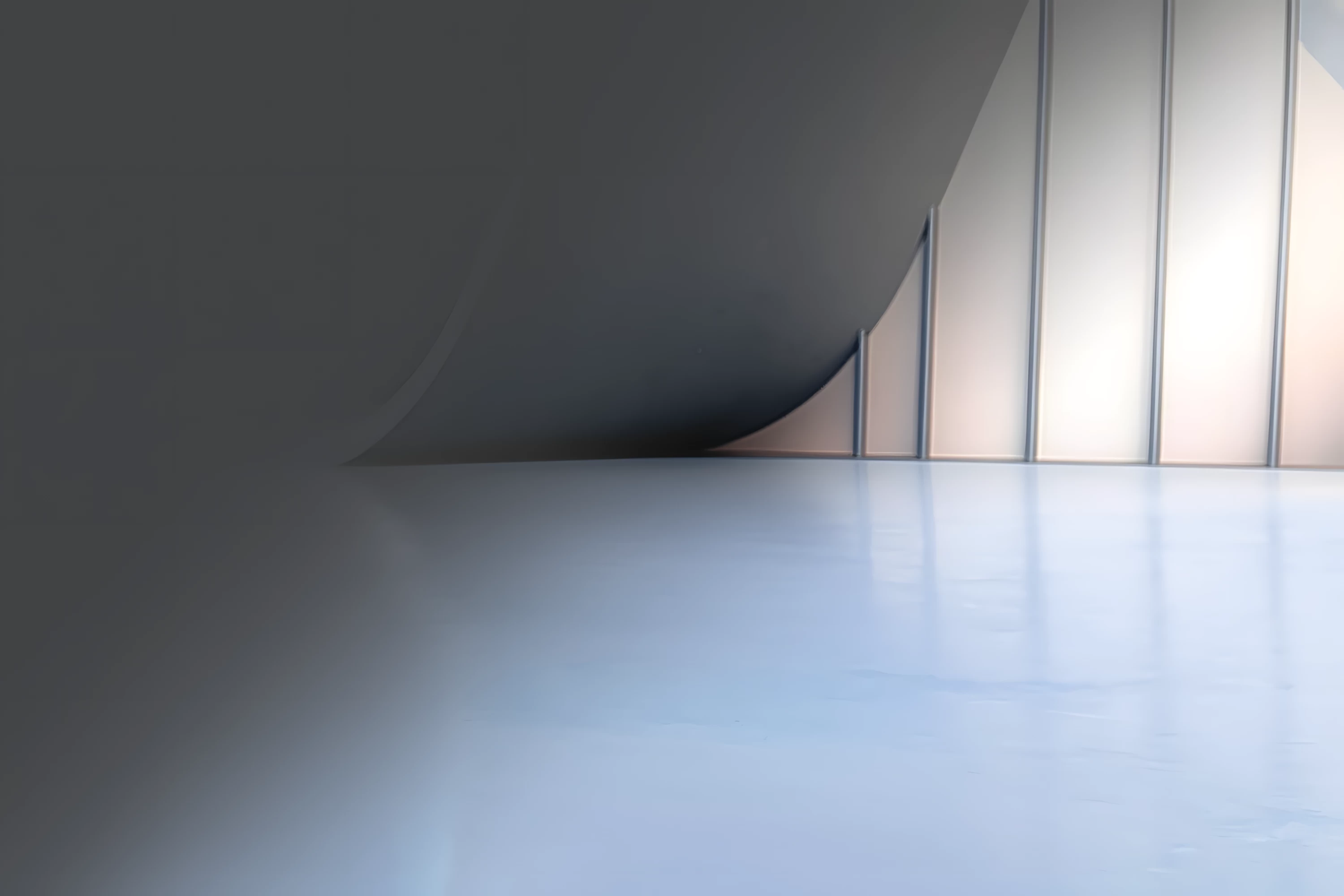 Banner 1